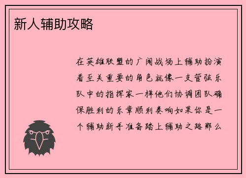 新人辅助攻略